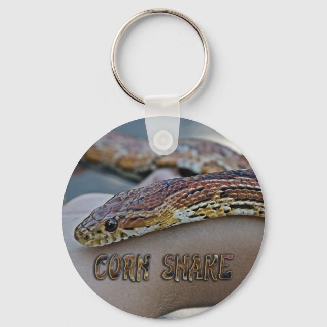 LLAVERO CORN SNAKE (Anverso)