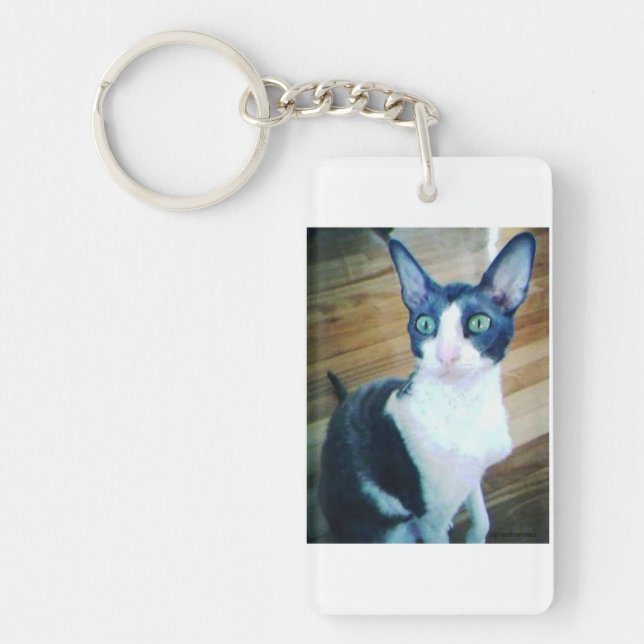 Llavero cornish rex.png (Frente)