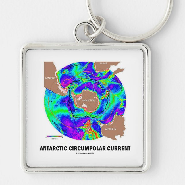 Llavero Corriente circumpolar antártica (mapa actual de (Frente)
