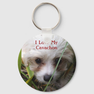 Llavero Corta Cavachon Puppy Keychain