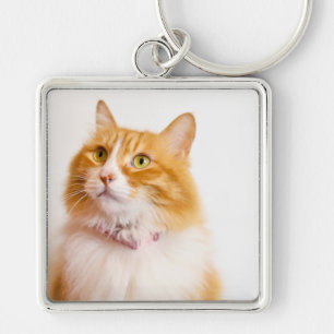 Llavero Corto gato Photo Premium Square Keychain