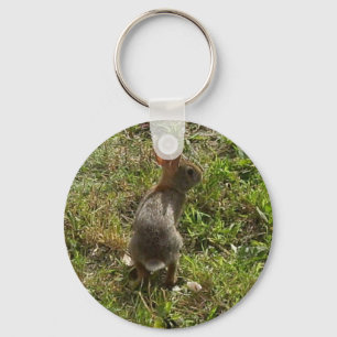 Llavero Cosas de liebre de conejo conejo conejo conejo con