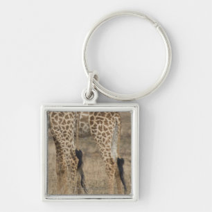 Llavero Cosecha apretada de dos jirafas (Giraffa