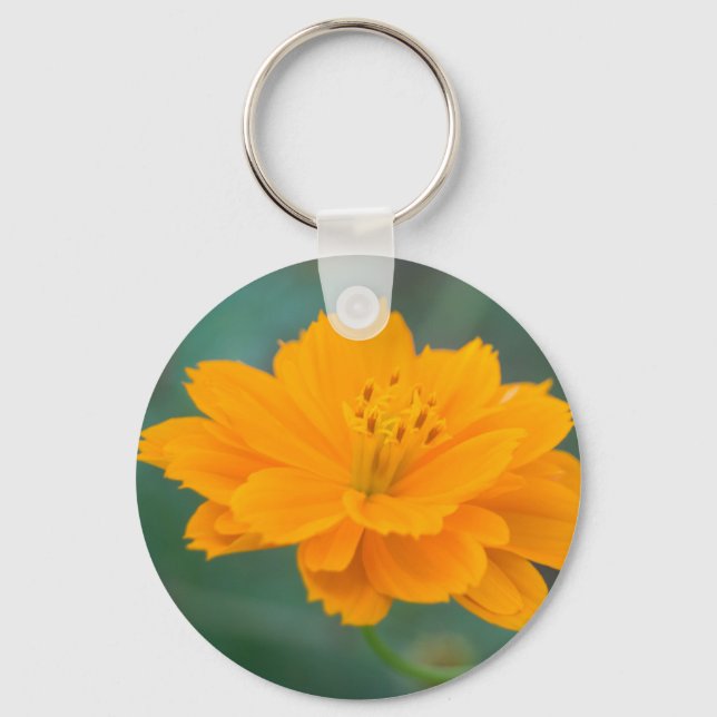 Llavero Cosmos de azufre 05 (Anverso)