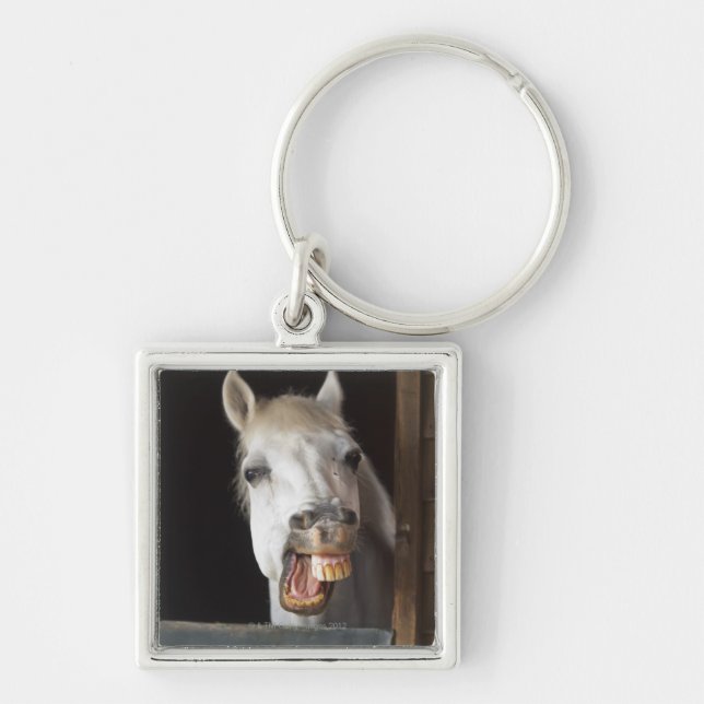 Llavero costa del benalamadena, Málaga, Costa del Sol, (Frente)