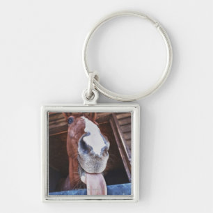 Llavero costa del benalamadena, Málaga, Costa del Sol, 3