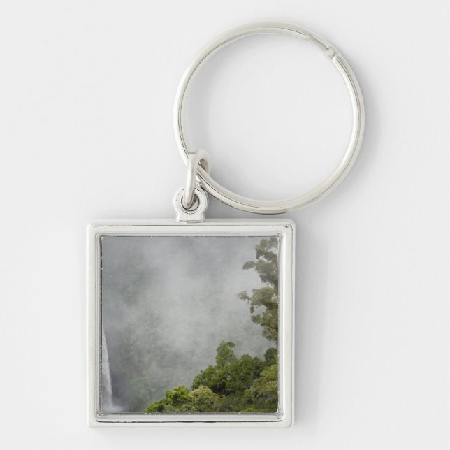 Llavero Costa Rica, bosque nublado en las montañas cerca d (Frente)