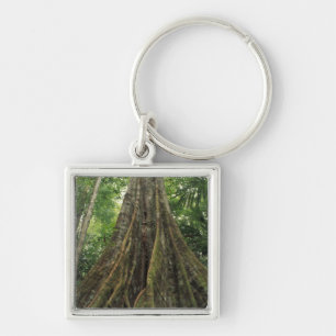 Llavero Costa Rica, Parque Nacional Corcovado, Apuntalado