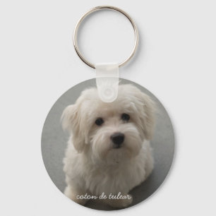 Llavero Coton de Tulear