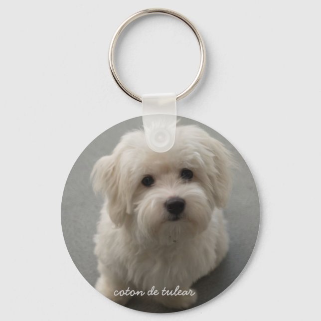Llavero Coton de Tulear (Anverso)