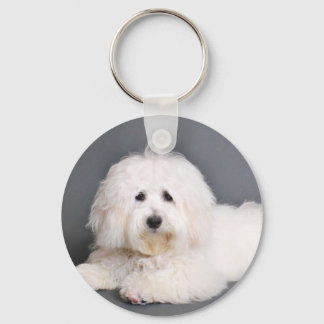 Llavero Coton de Tulear - Joci