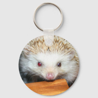 Llavero Cotty hedgehog