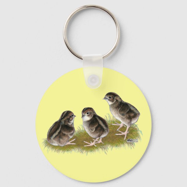 Llavero Coturnix Quail Chicks (Anverso)