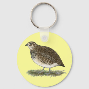 Llavero Coturnix Quail Hen