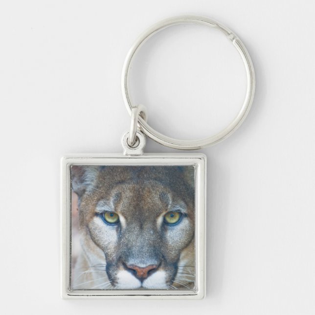 Llavero Cougar, león de montaña, pantera de Florida, Puma (Frente)