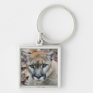 Llavero Cougar, león de montaña, pantera de Florida, Puma
