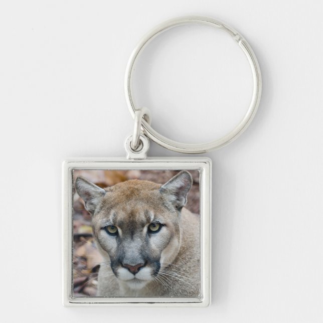 Llavero Cougar, león de montaña, pantera de Florida, Puma (Frente)