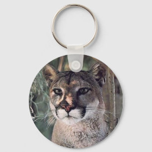 Llavero cougar sentado