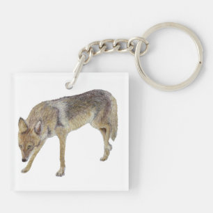 Llavero Coyote