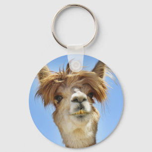 Llavero Crazy Hair Alpaca