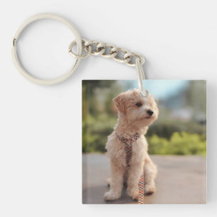 Llavero Crea tu propia foto de mascota personalizada