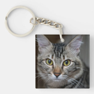 Llavero Crea Tu Propia Foto Personalizada De Tu Gato Masco