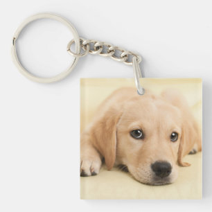 Llavero Crea tu propia foto personalizada de tu mascota