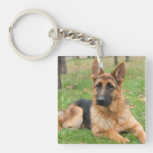 Crea tu propia foto personalizada de tu mascota