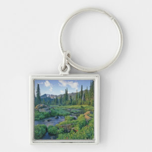 Llavero Creek de picnic en la cuenca del cisne