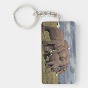 Llavero Cría de elefante africano con familia