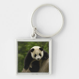Llavero cría de panda gigante