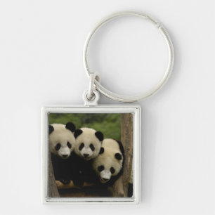 Llavero Crías de panda gigante (Ailuropoda melanoleuca)