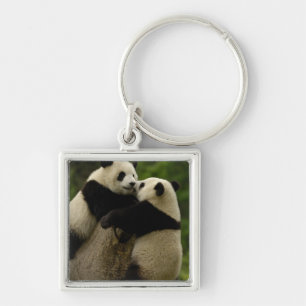 Llavero Crías de panda gigante (Ailuropoda melanoleuca)