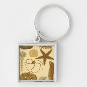 Llavero Criaturas submarinas