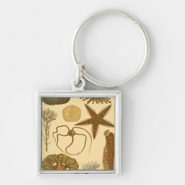 Llavero Criaturas submarinas (Frente)