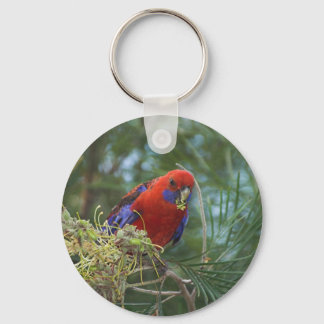 Llavero Crimson Rosella