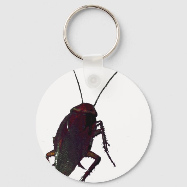 Llavero Crunchy Cockroach (Anverso)