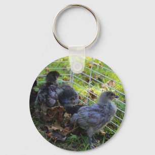 Llavero Cuál está para arriba - extremo del pollo