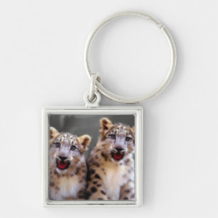 Llavero Cubs de leopardo de la nieve