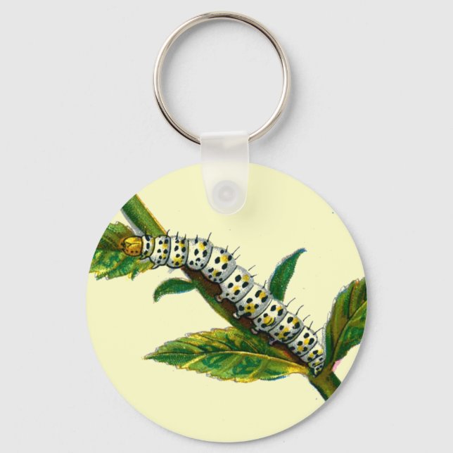 Llavero Cucullia verbasci caterpillar (Anverso)