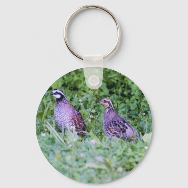 Llavero Cuenca Bobwhite del norte (Anverso)