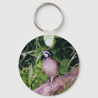 Llavero Cuenca Bobwhite del norte