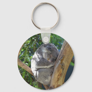 Llavero Cuidada durmiendo a Koala en el árbol