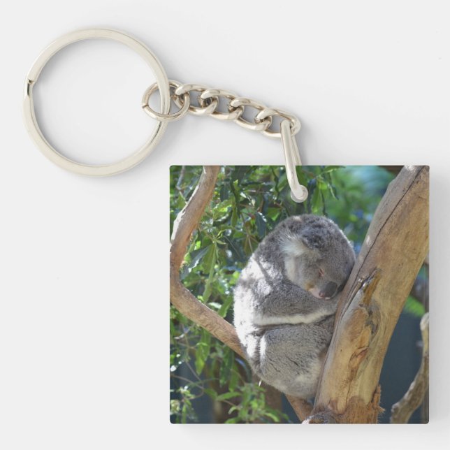 Llavero Cuidada durmiendo a Koala en el árbol (Frente)