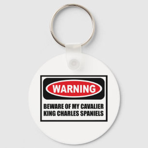 LLAVERO CUIDADO DE LA ATENCIÓN DE MI CAVALIER KING CHARLES