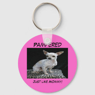 Llavero cuidado en exceso chihuahua del perro