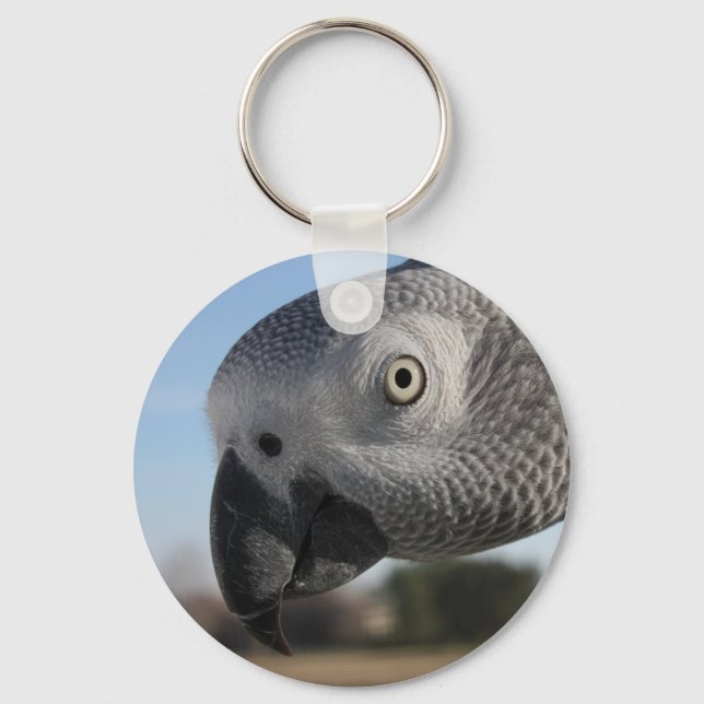 Llavero Curioso loro gris africano del Congo (Anverso)