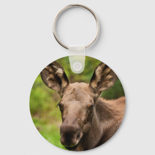 Llavero Curioso Moose