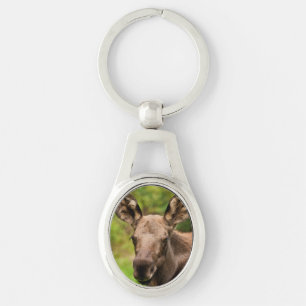Llavero Curioso Moose