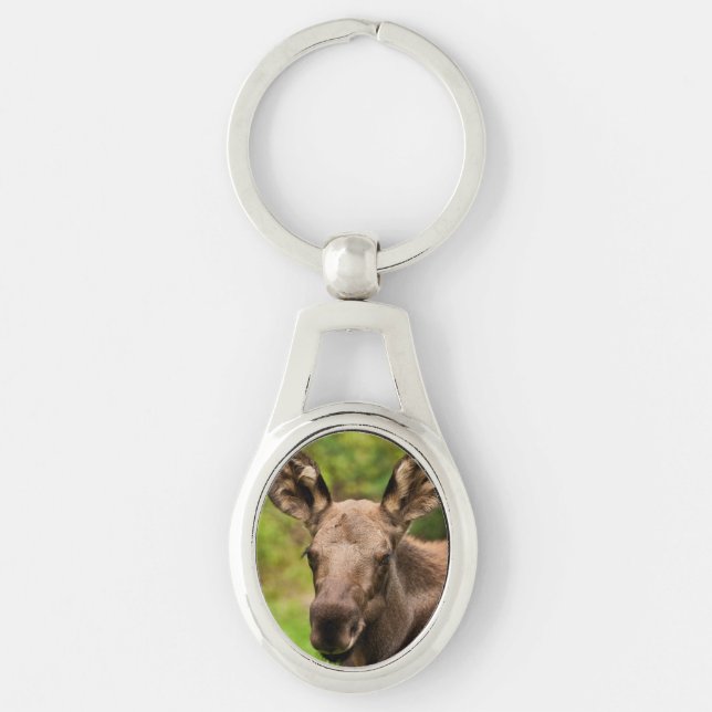 Llavero Curioso Moose (Anverso)